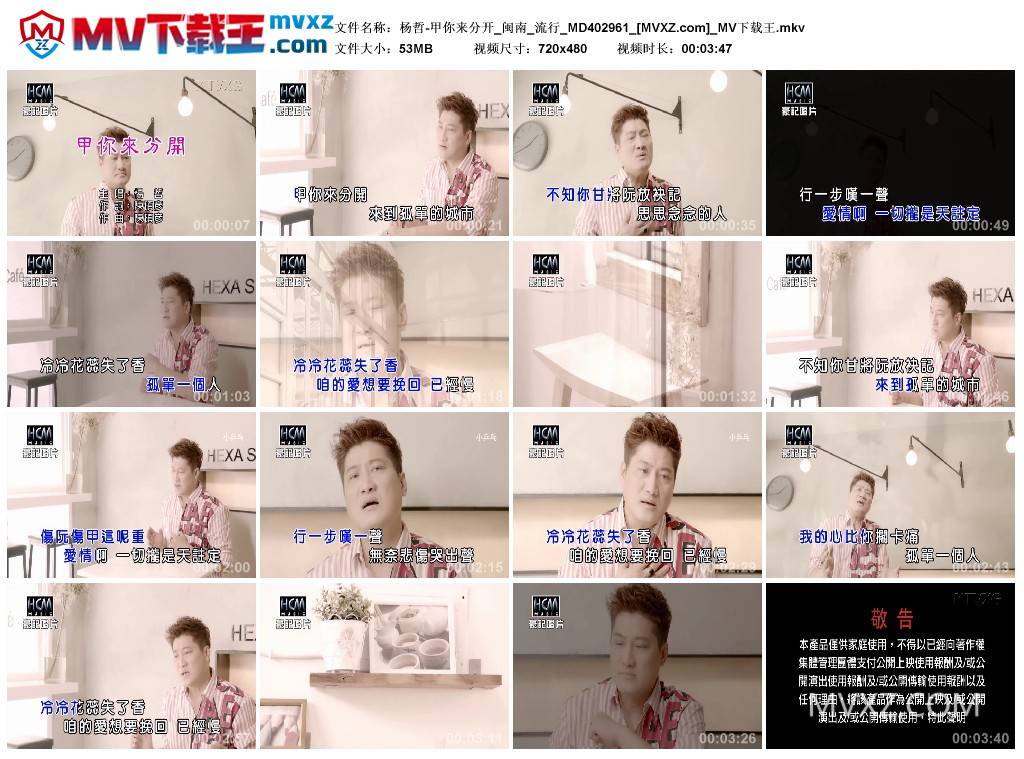 杨哲-甲你来分开_闽南_流行_MD402961